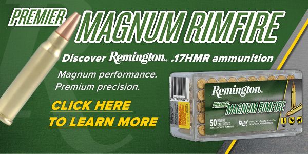 4233 AU SPORT Remington 17 HMR Special Mobile Banner