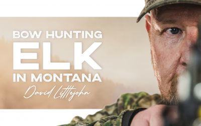 Bow Hunting Elk in Montana - NIOA TV